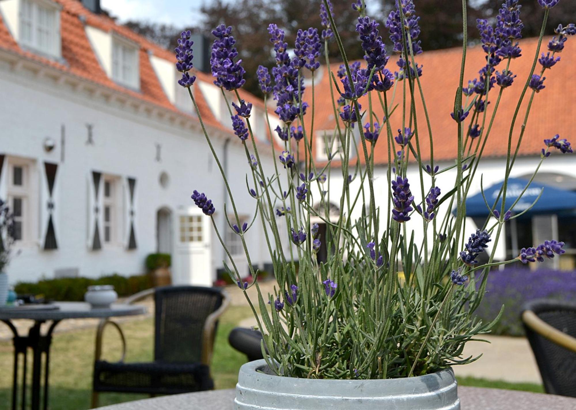 Bed and Breakfast Kasteel Aldenghoor Haelen Exterior foto